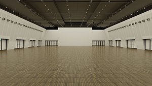 MICO Sala Silver 3D