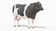 Full Cow Anatomy Static 3D model