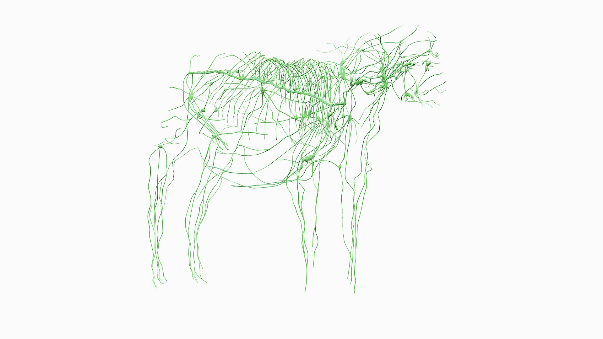 Full Cow Anatomy Static 3D model https://p.turbosquid.com/ts-thumb/Bc/hLnVEy/km/06__cow_lymphatic_0000/jpg/1641893029/1920x1080/fit_q87/82dcf2e04f2418c8c8ee44febe631e7b9dfed66f/06__cow_lymphatic_0000.jpg