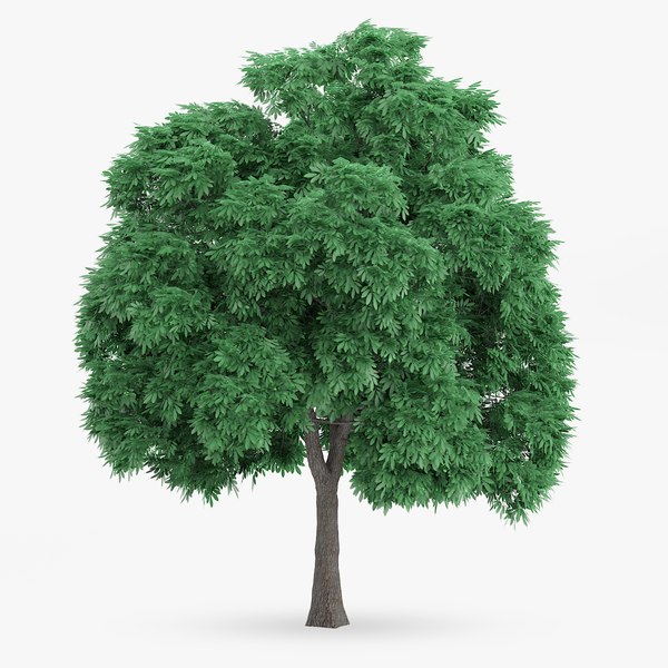 3d sweet chestnut 10 7m