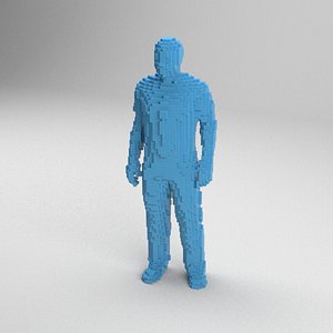 voxel man 3D model