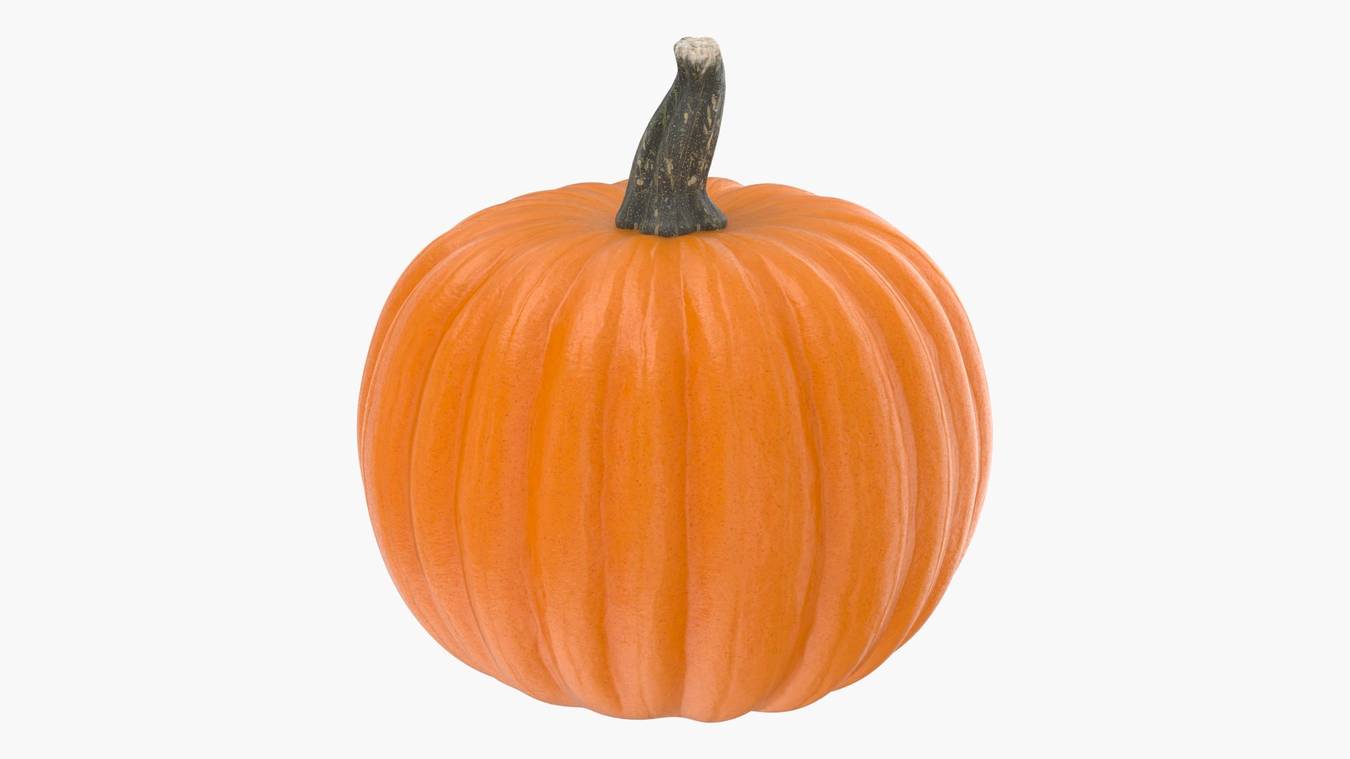 Halloween Pumpkin V1 3D model https://p.turbosquid.com/ts-thumb/Bc/q0pHvk/Nj/r3hp1/png/1760227761/1920x1080/fit_q87/96d1a06003b4ca4d6ddb98a31053cc5ba422dc0c/r3hp1.jpg