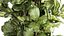 Árvore em vaso de flores branco moderno Ficus lyrata 1459