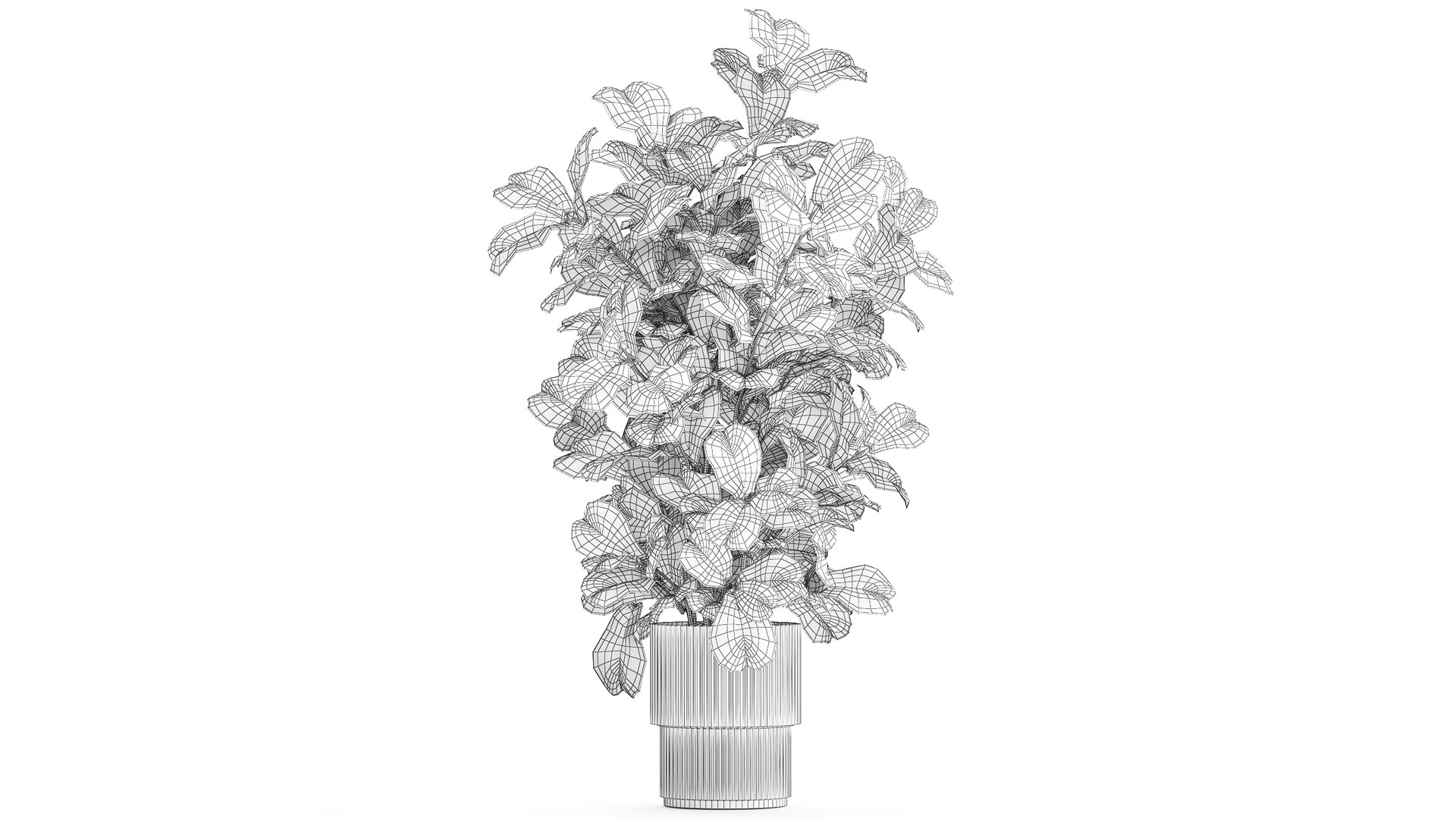 Tree in modern white flower pot Ficus lyrata 1459 3D https://p.turbosquid.com/ts-thumb/Bc/u9ILTY/rH/1ficus2711202309/jpg/1701165288/1920x1080/fit_q87/596f0074c462c7033a638388501a26cb547dbf56/1ficus2711202309.jpg