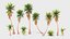 Desert tree and plant pack G95