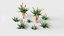 Desert tree and plant pack G95