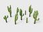 Desert tree and plant pack G95