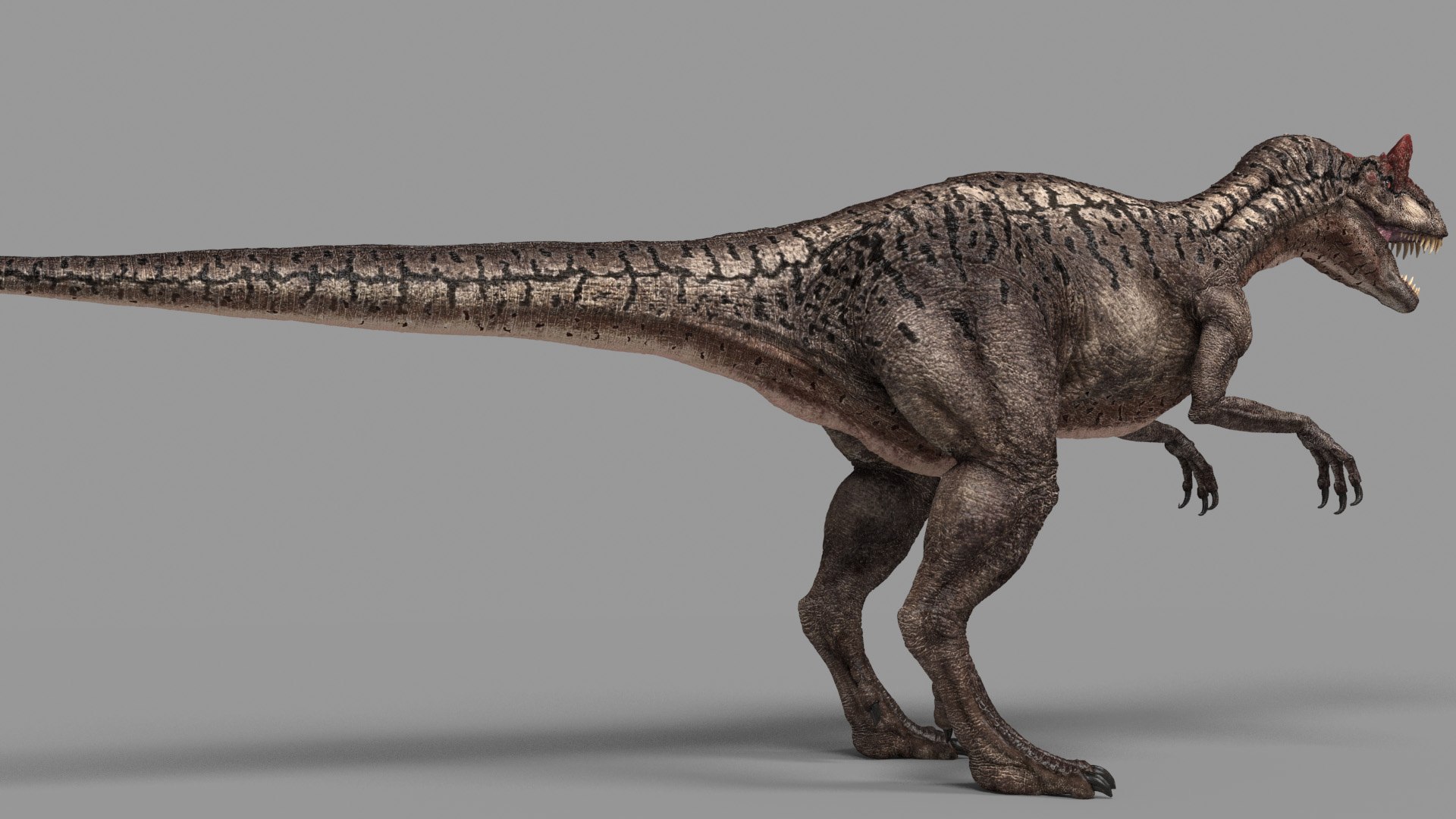 3D Allosaurus - TurboSquid 1209471