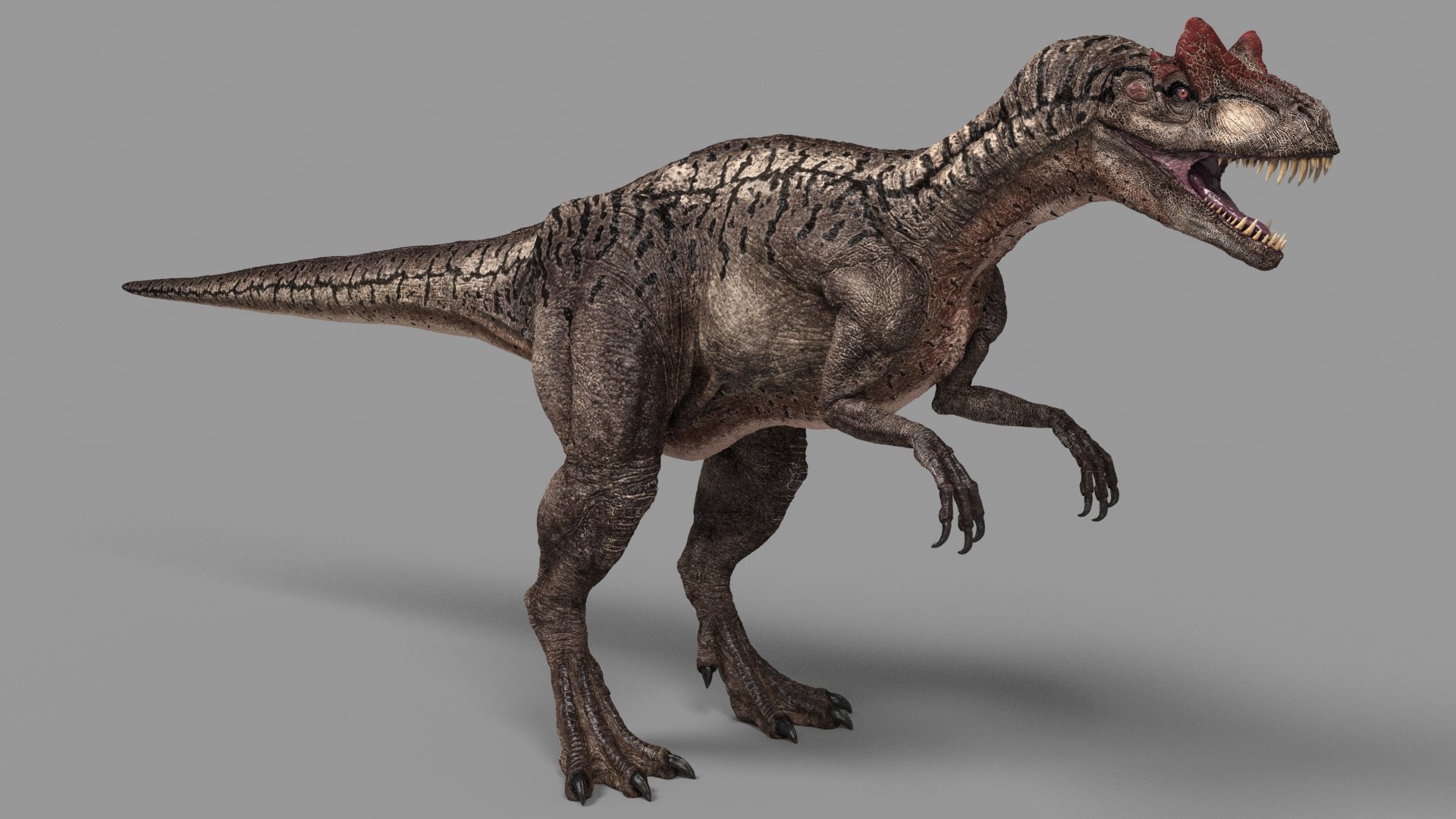 3D Allosaurus - TurboSquid 1209471