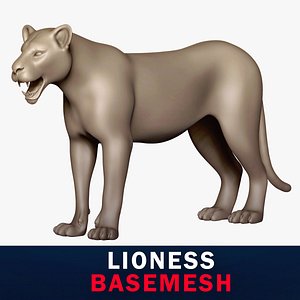 3D model Lioness Base Mesh 3D model