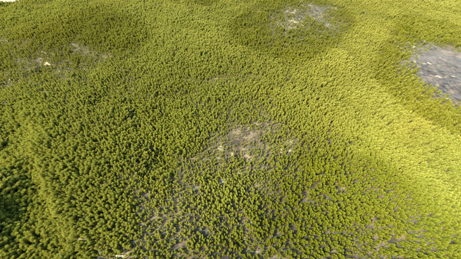Moss 3D - TurboSquid 1919460