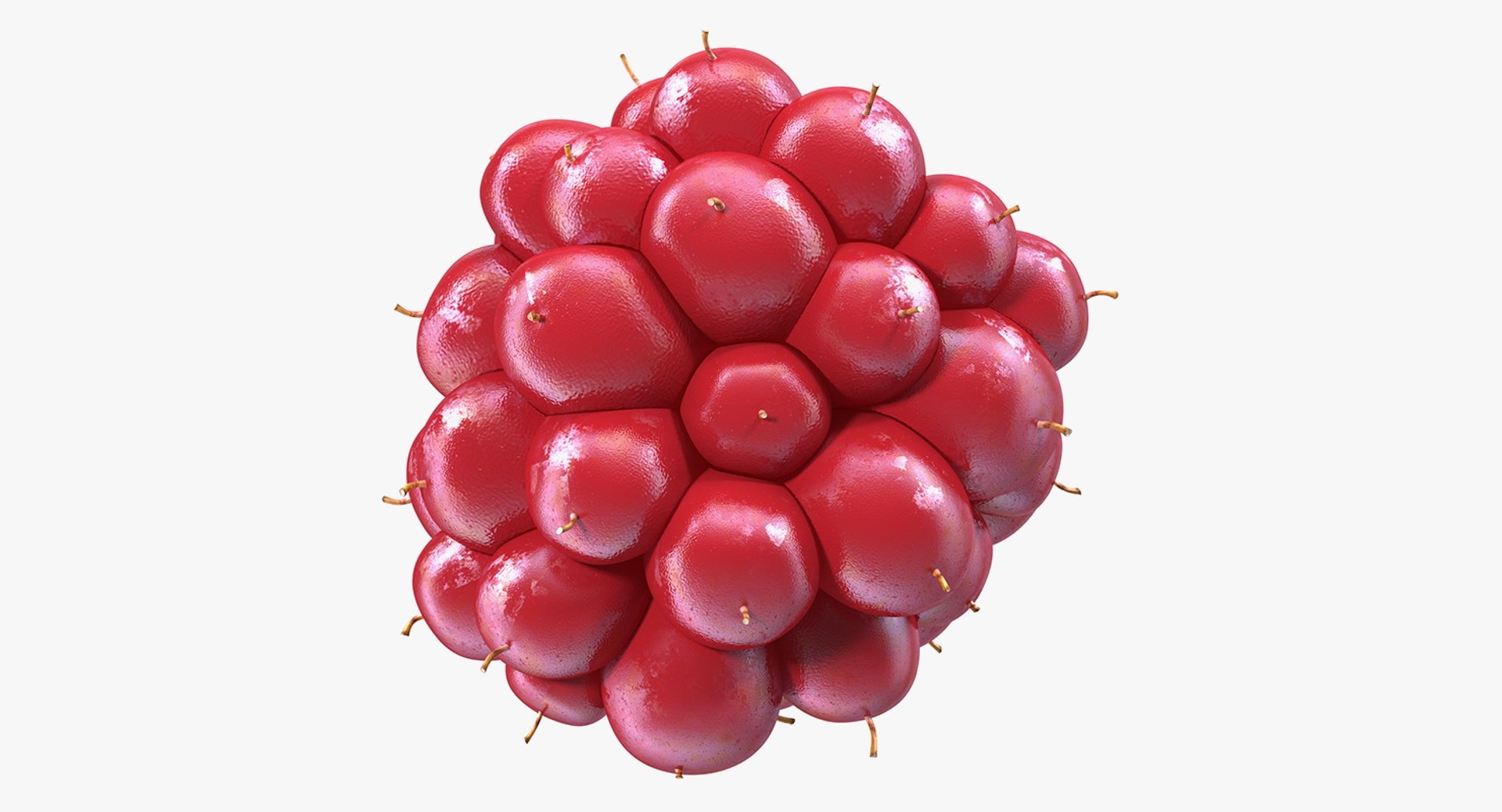 Not Ripe Berry Blackberry Fruit 3D Model 3D model preview