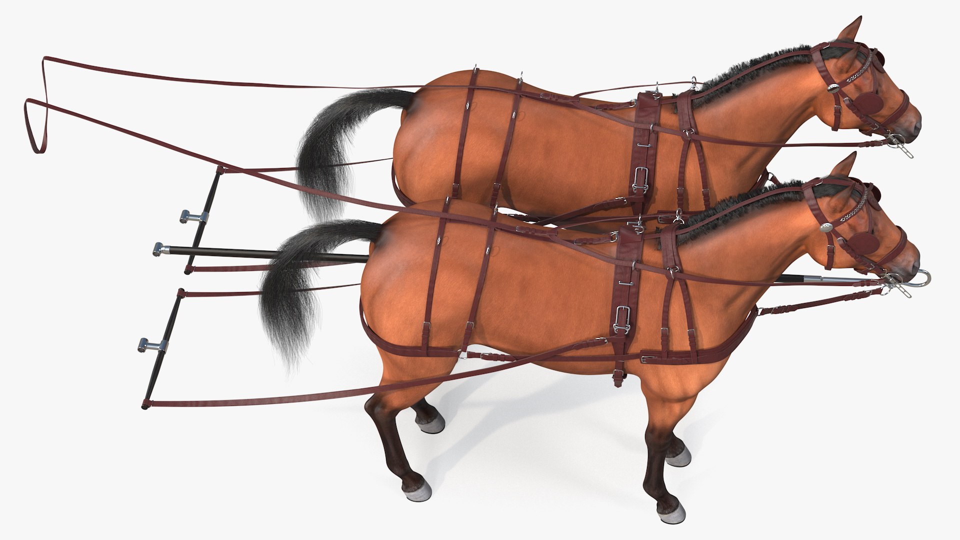 3D pair breast collar harness model https://p.turbosquid.com/ts-thumb/Bd/NWY58v/1Sp9xdmE/pairofbreastcollarharnessfurrigged3dmodel023/jpg/1593175562/1920x1080/fit_q87/b0cb70782cabd5917abfdc0381e7423cfac44e59/pairofbreastcollarharnessfurrigged3dmodel023.jpg