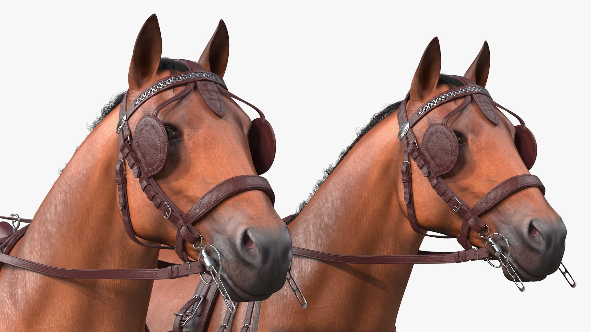 3D pair breast collar harness model https://p.turbosquid.com/ts-thumb/Bd/NWY58v/3EtilDi0/pairofbreastcollarharnessfurrigged3dmodel026/jpg/1593175562/1920x1080/fit_q87/fe7d023d12d8b18a34438f7155454401da281033/pairofbreastcollarharnessfurrigged3dmodel026.jpg