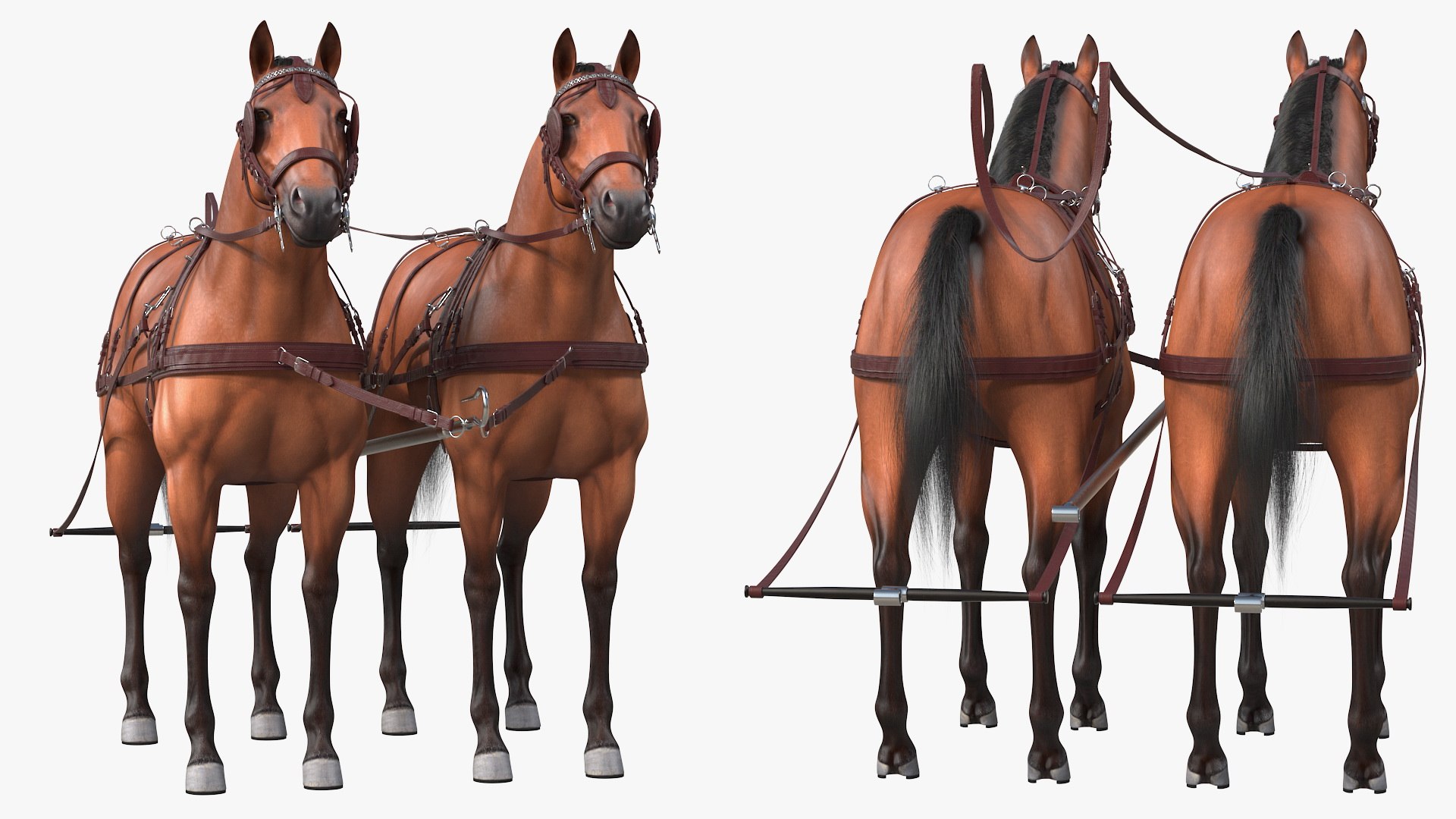 3D pair breast collar harness model https://p.turbosquid.com/ts-thumb/Bd/NWY58v/KMAUQaSB/pairofbreastcollarharnessfurrigged3dmodel019/jpg/1593175562/1920x1080/fit_q87/fef39c34731de31850d60a3e4f673b2a6cc719d4/pairofbreastcollarharnessfurrigged3dmodel019.jpg