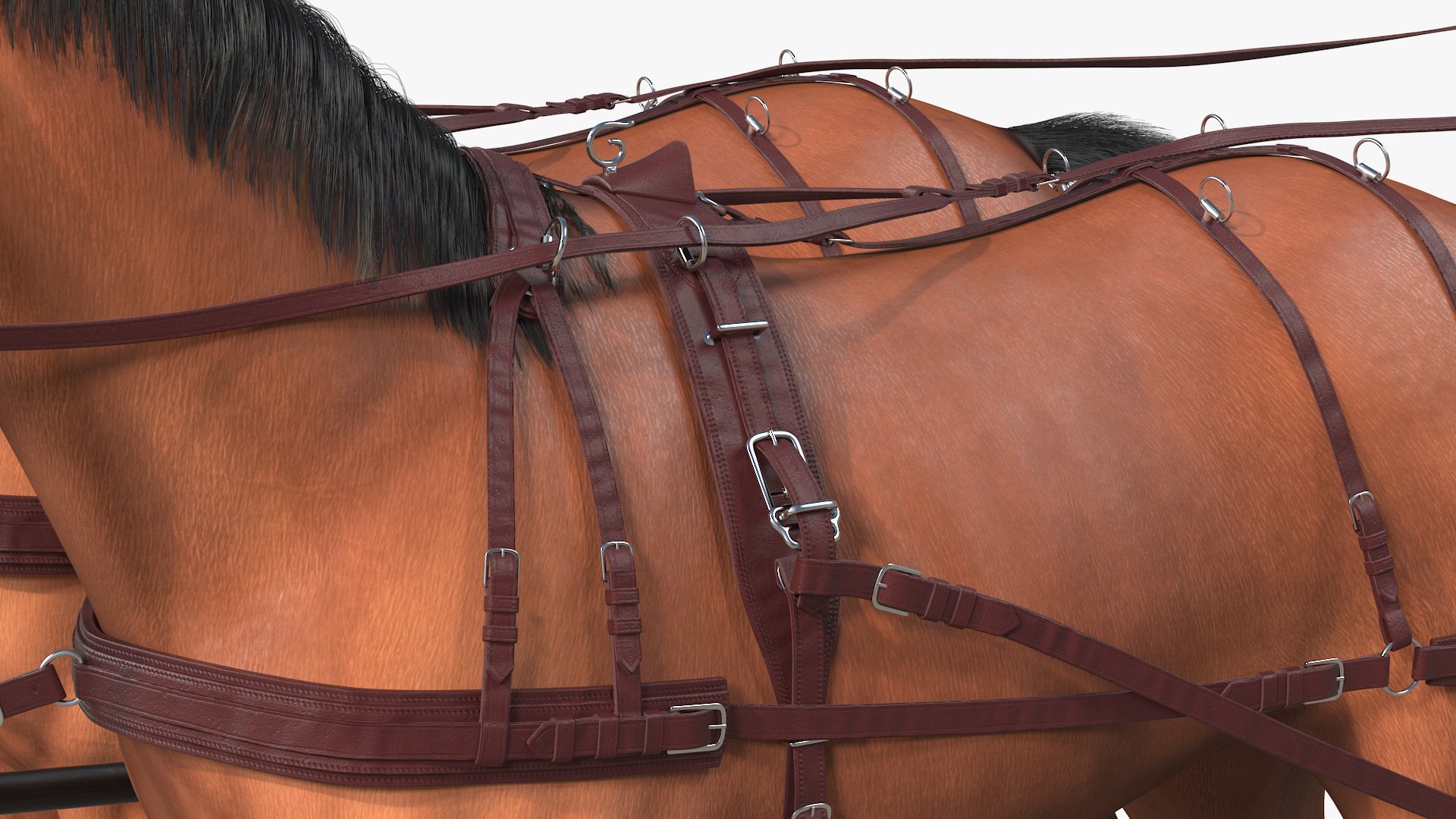 3D pair breast collar harness model https://p.turbosquid.com/ts-thumb/Bd/NWY58v/OXr7DTzj/pairofbreastcollarharnessfurrigged3dmodel032/jpg/1593175562/1920x1080/fit_q87/0b09264848240c659fb6894df57c437963338f92/pairofbreastcollarharnessfurrigged3dmodel032.jpg