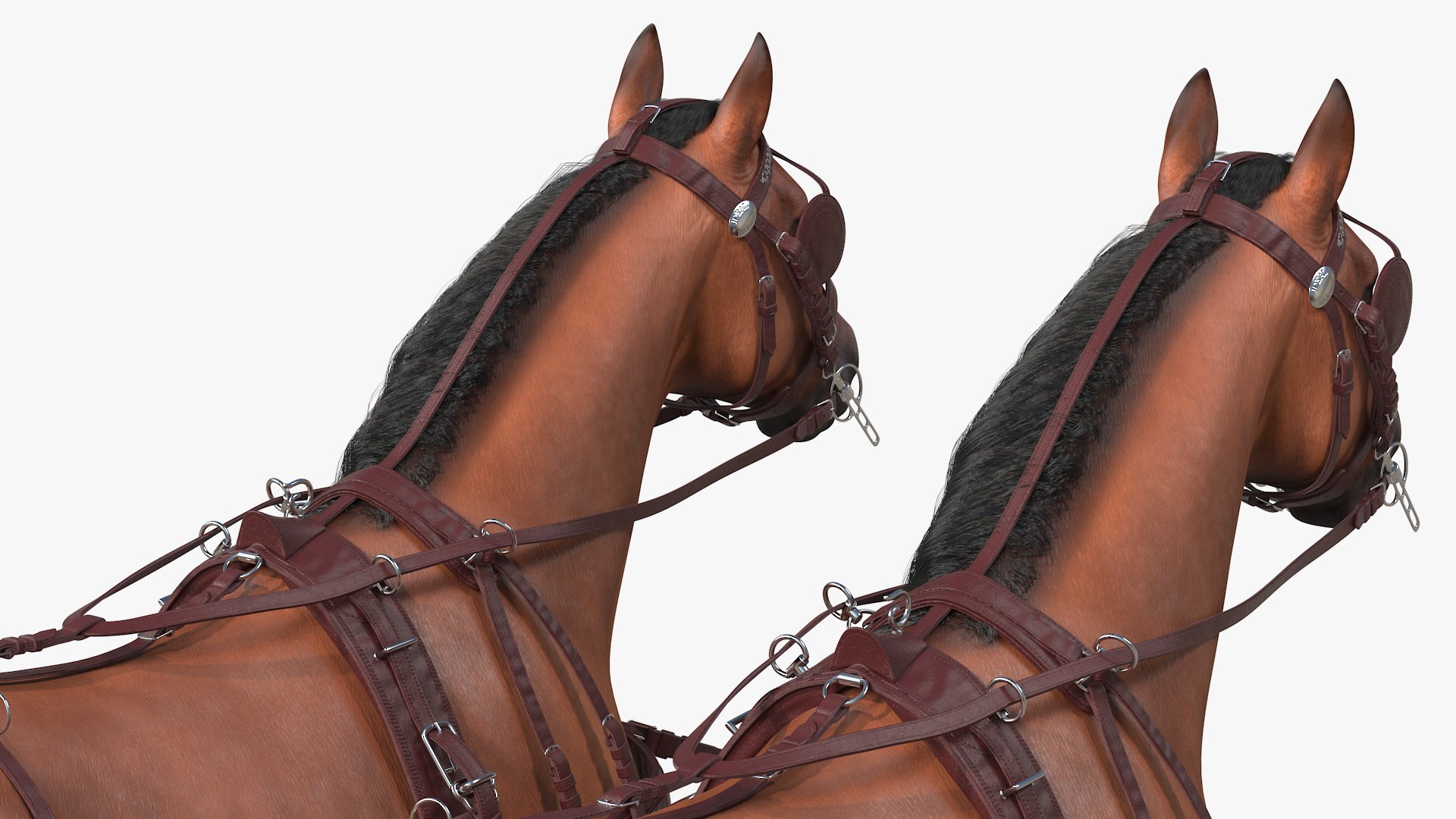 3D pair breast collar harness model https://p.turbosquid.com/ts-thumb/Bd/NWY58v/XPjBvnCd/pairofbreastcollarharnessfurrigged3dmodel030/jpg/1593175562/1920x1080/fit_q87/2e859a3bd624dc0405dfddd7711bf9856a73d1ed/pairofbreastcollarharnessfurrigged3dmodel030.jpg