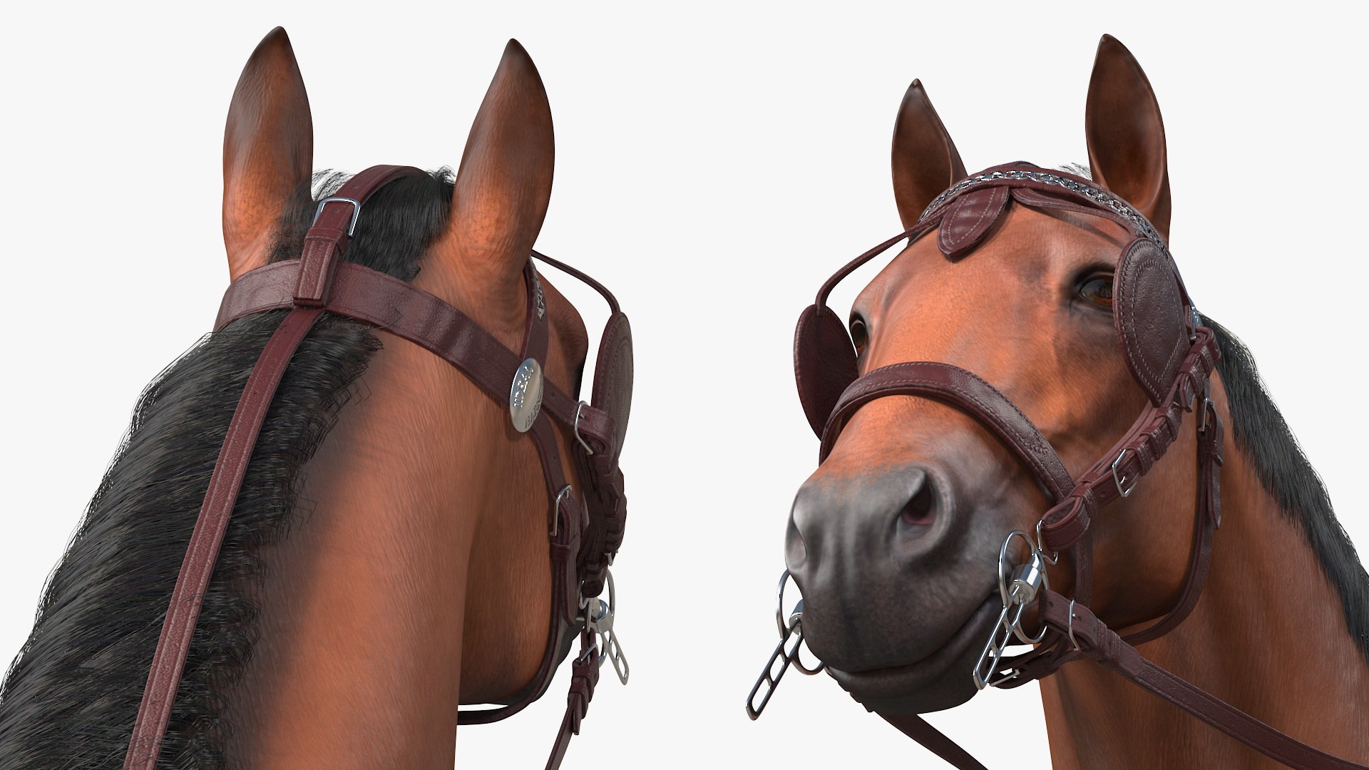 3D pair breast collar harness model https://p.turbosquid.com/ts-thumb/Bd/NWY58v/kW6aGX97/pairofbreastcollarharnessfurrigged3dmodel028/jpg/1593175562/1920x1080/fit_q87/4caa7461e958f3f119197c94763c2e4bd67eb0d2/pairofbreastcollarharnessfurrigged3dmodel028.jpg