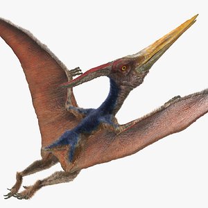 Pteranodon Rigged with Fur 3D Model