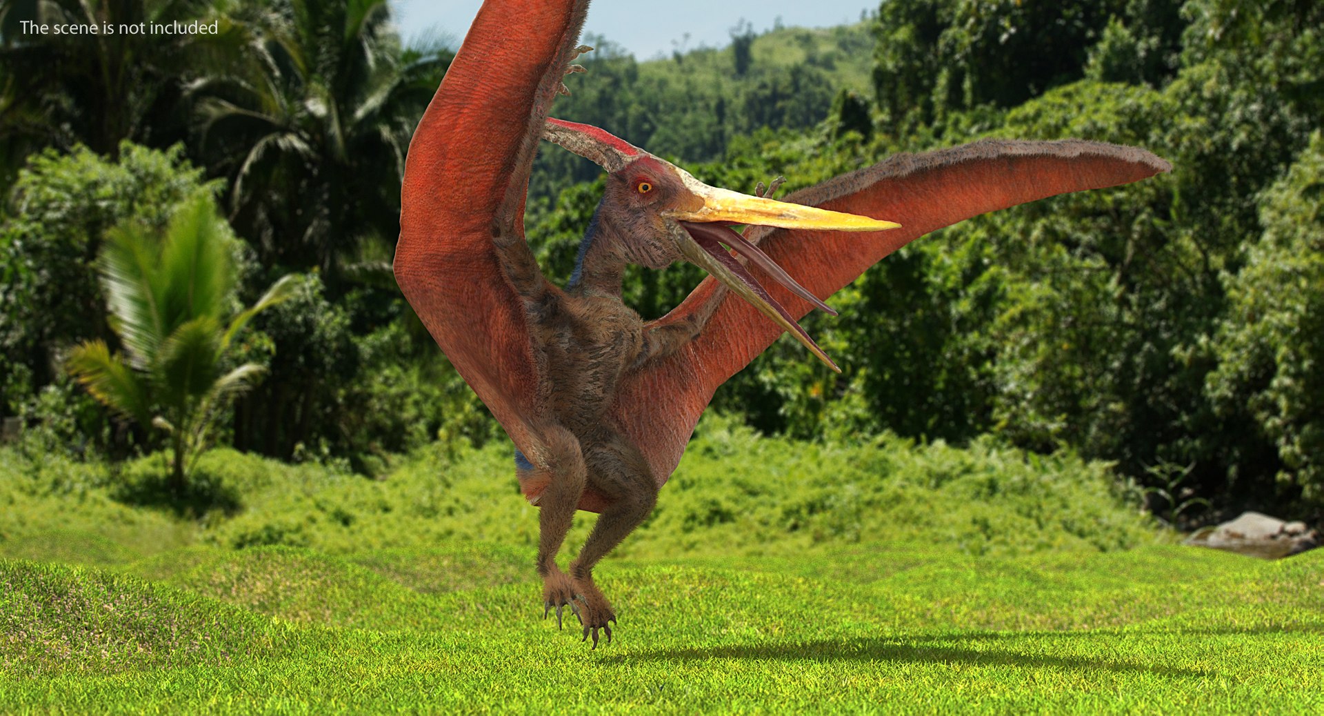 3D Model Pteranodon Rigged Fur - TurboSquid 1414100