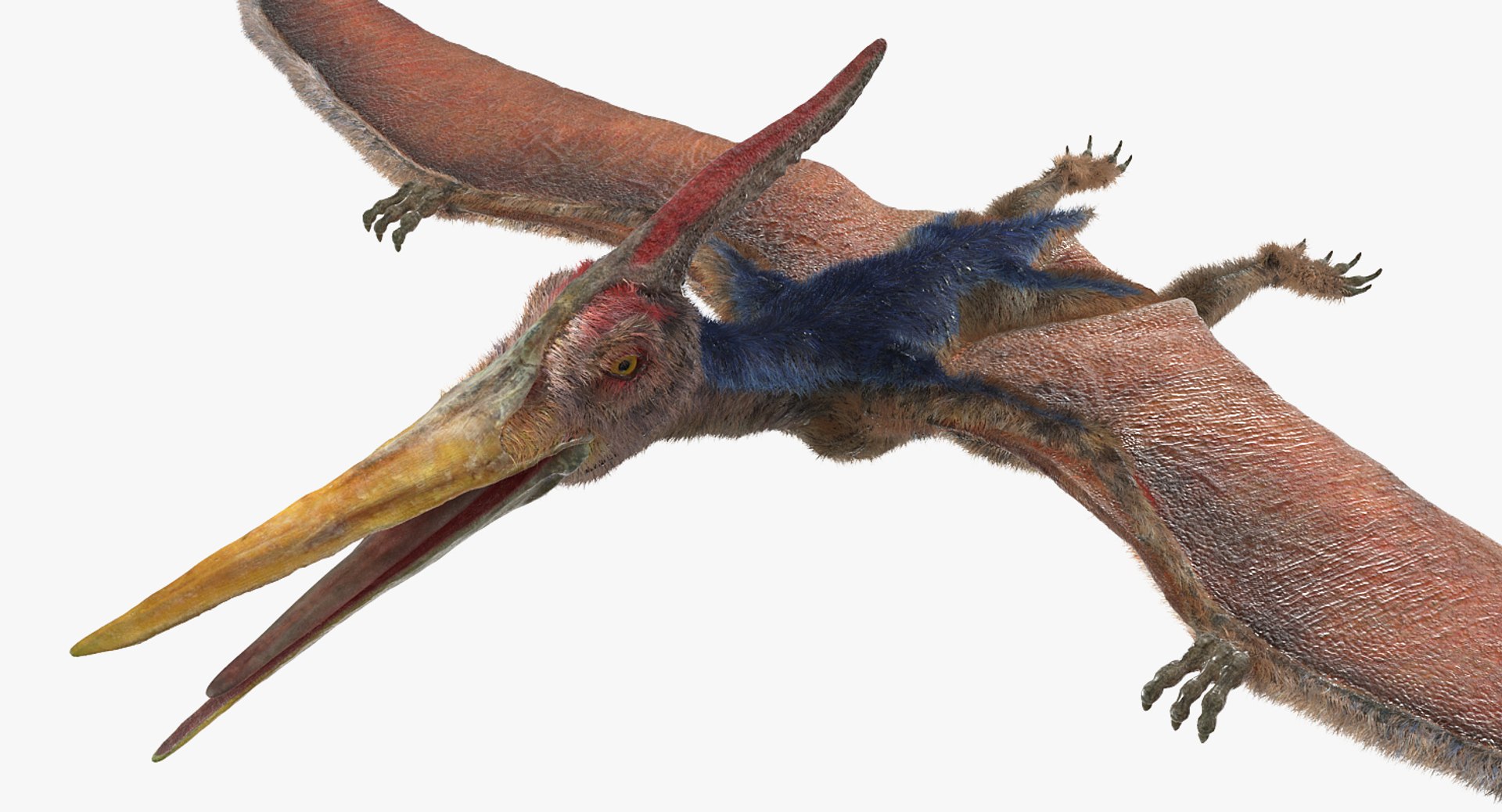 3D model pteranodon rigged fur - TurboSquid 1414100