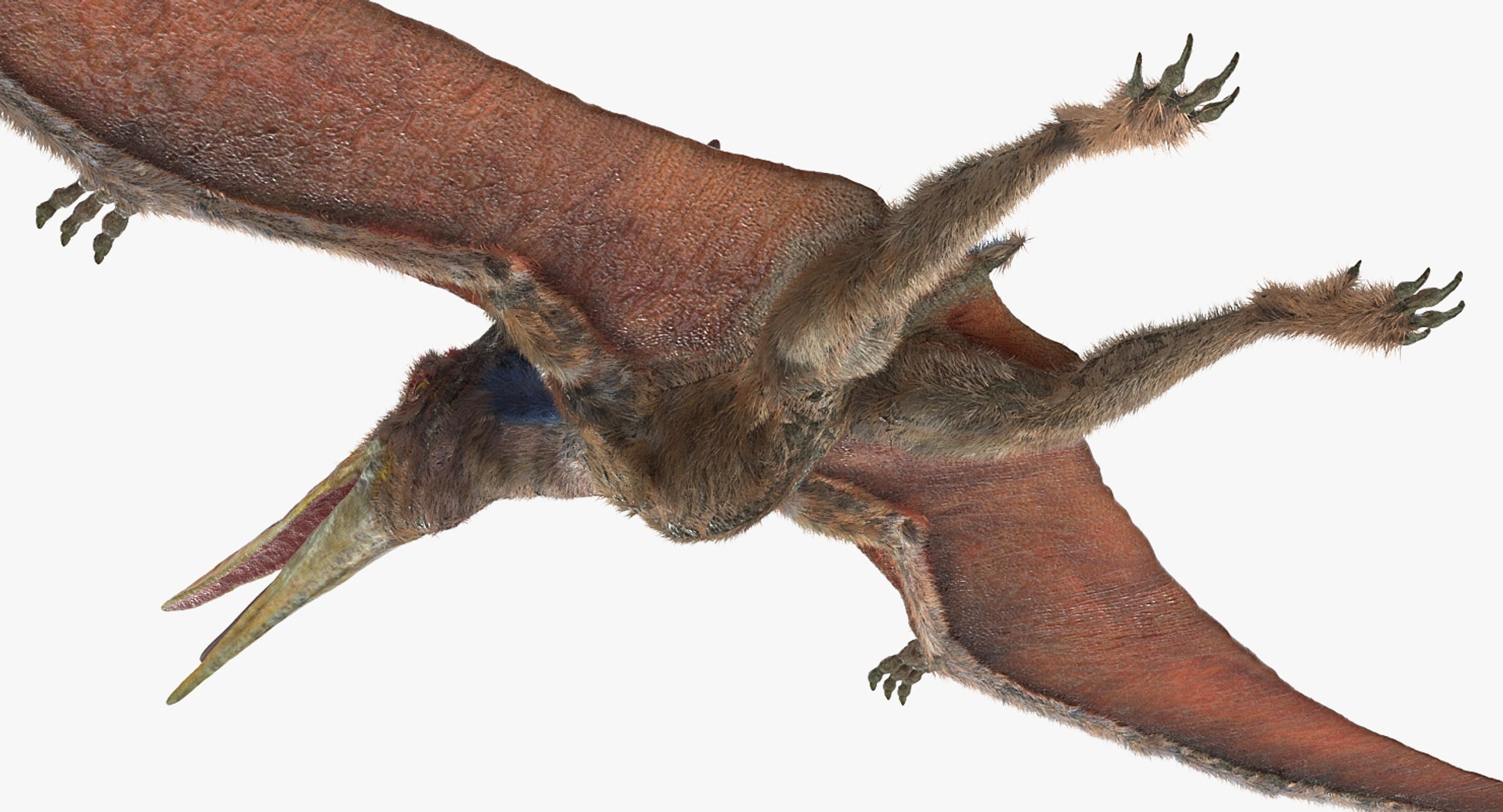 3D model pteranodon rigged fur - TurboSquid 1414100