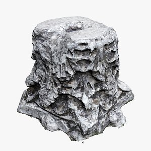 scanned ready model