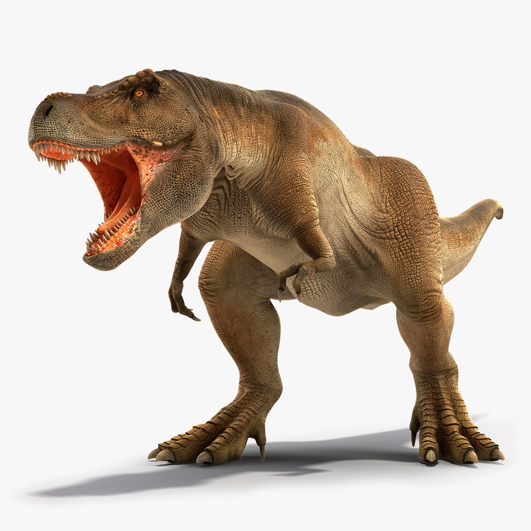 Animated Tyrannosaurus Rex Roaring Rigged for Maya 3D model preview