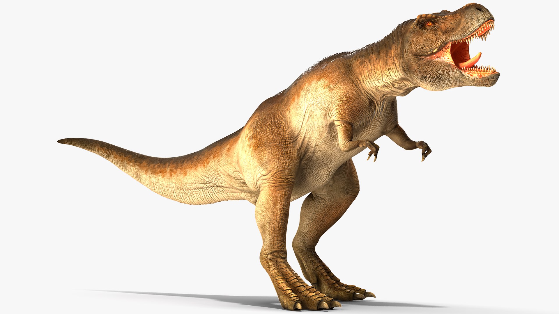tyrannosaurus rex roaring animal model https://p.turbosquid.com/ts-thumb/Bd/k4xr17/Igza8lOp/animatedtyrannosaurusrexroaringrigged3dsmodel006/jpg/1575268165/1920x1080/fit_q87/87ba4b6df7039ad8474b7ba993f07e3a0e802eda/animatedtyrannosaurusrexroaringrigged3dsmodel006.jpg
