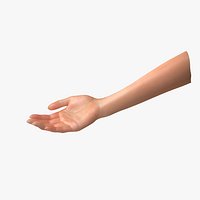 Female Arm A (Pose B Textured)