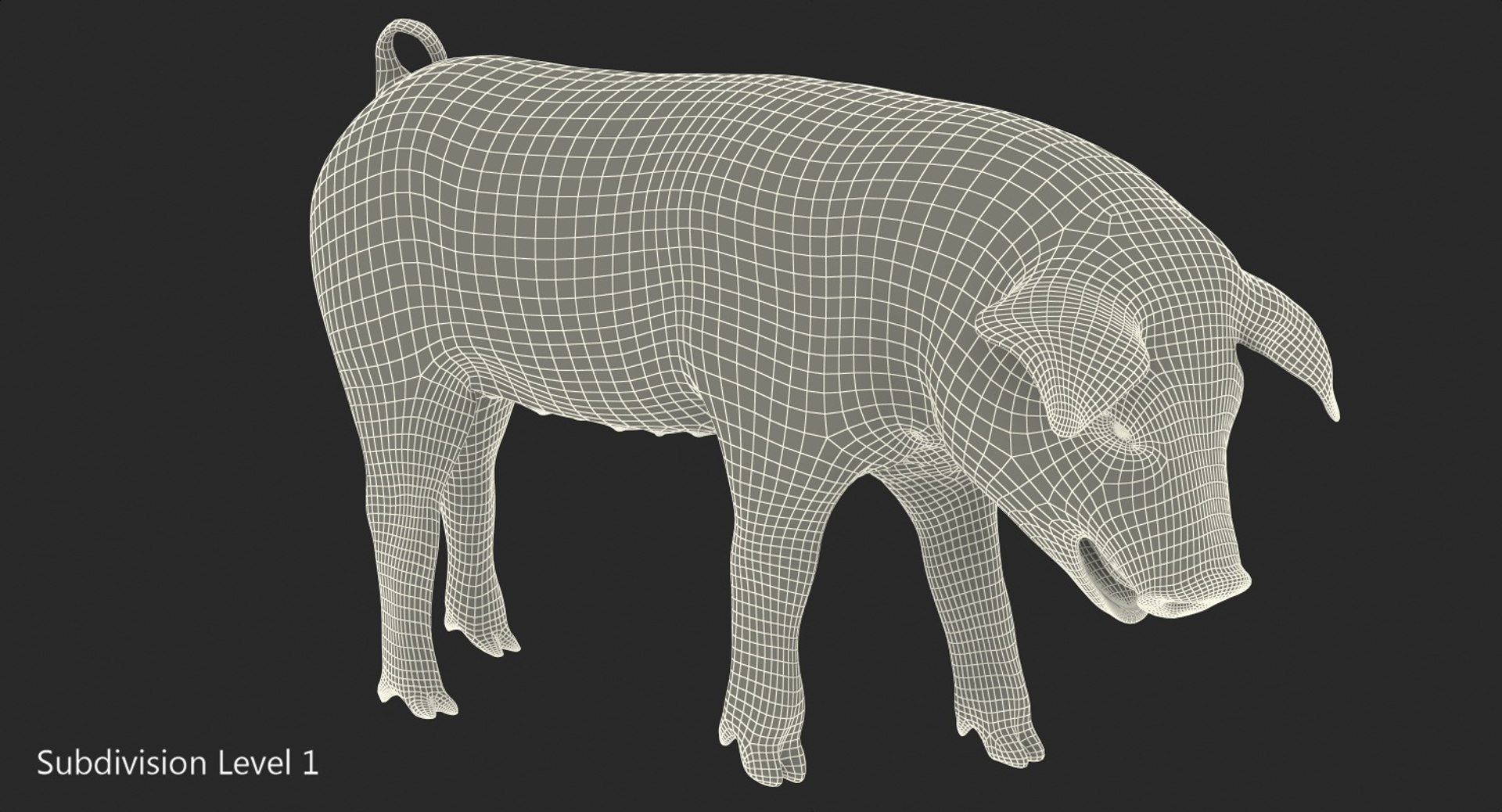 pig piglet landrace standing 3D model https://p.turbosquid.com/ts-thumb/Bd/wdc6HK/Kk3yIRkN/pigpigletlandracestandingposemb3dmodel011/jpg/1545069028/1920x1080/fit_q87/d3add636ee121287ad69b9df212d5cec09f1d5b8/pigpigletlandracestandingposemb3dmodel011.jpg