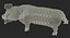 Posa in piedi Landrace Pig Piglet