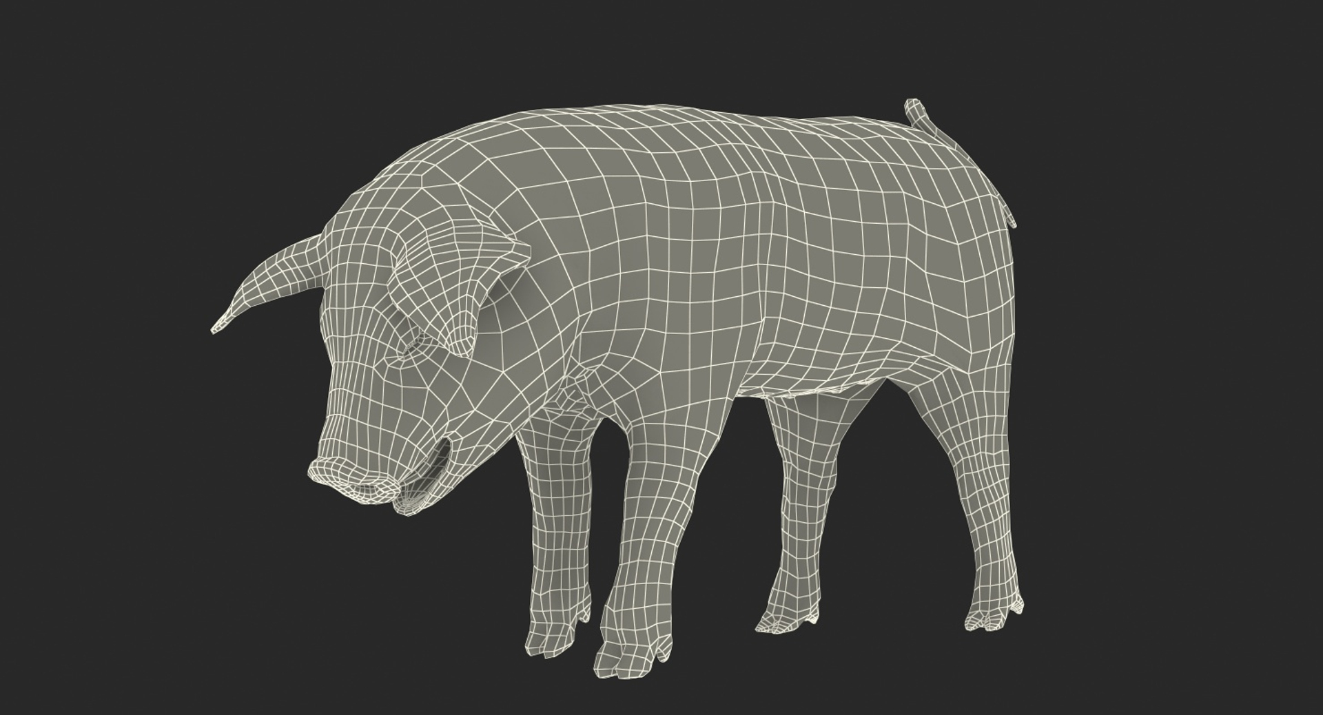 pig piglet landrace standing 3D model https://p.turbosquid.com/ts-thumb/Bd/wdc6HK/NFp4KJ2s/pig_piglet_landrace_standing_pose_361/jpg/1545068474/1920x1080/turn_fit_q99/cd94e45ed976b9be846a272394a4eed96e29d1a0/pig_piglet_landrace_standing_pose_361-1.jpg