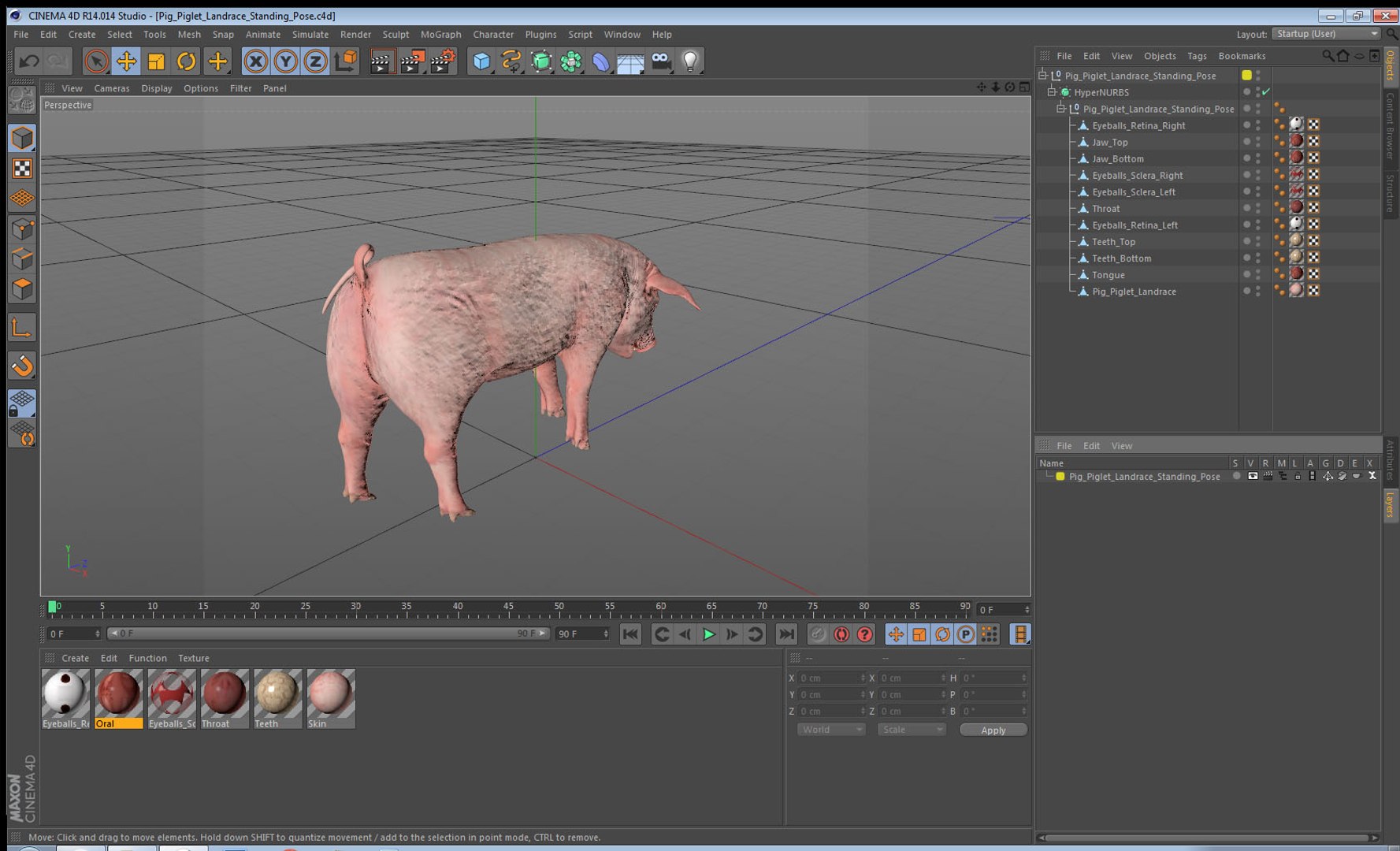 pig piglet landrace standing 3D model https://p.turbosquid.com/ts-thumb/Bd/wdc6HK/WBht0eGR/pigpigletlandracestandingposemb3dmodel015/jpg/1545069044/1920x1080/fit_q87/c2f2fbca17a776b2fdcaf54073c84ac94a9b6d14/pigpigletlandracestandingposemb3dmodel015.jpg