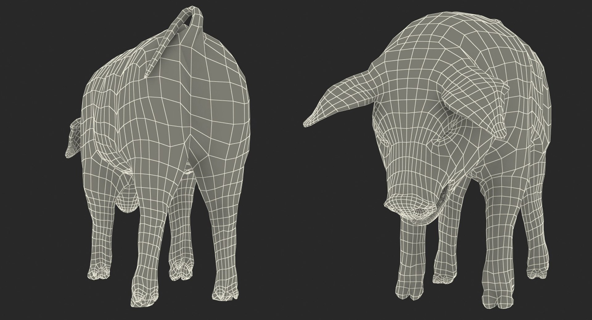 pig piglet landrace standing 3D model https://p.turbosquid.com/ts-thumb/Bd/wdc6HK/v9v80nOa/pigpigletlandracestandingposemb3dmodel017/jpg/1545069059/1920x1080/fit_q87/8b1ba841070680172e2ffd4ed92bbcc16d609a30/pigpigletlandracestandingposemb3dmodel017.jpg