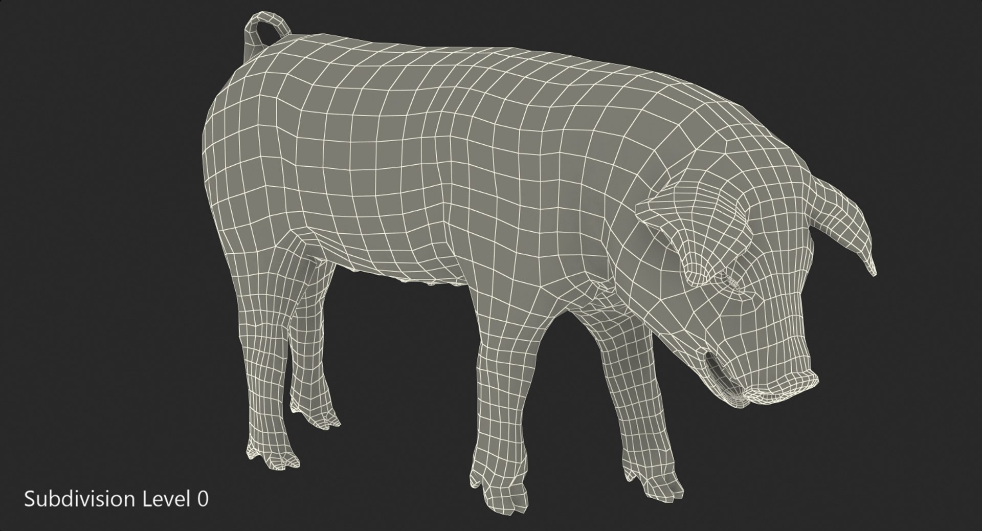 pig piglet landrace standing 3D model https://p.turbosquid.com/ts-thumb/Bd/wdc6HK/ziN73OfD/pigpigletlandracestandingposemb3dmodel010/jpg/1545069024/1920x1080/fit_q87/aaa4d0a8cbd9ea8ad0a2ec3093292494ea513bab/pigpigletlandracestandingposemb3dmodel010.jpg