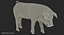 Posa in piedi Landrace Pig Piglet