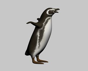 pinguino max