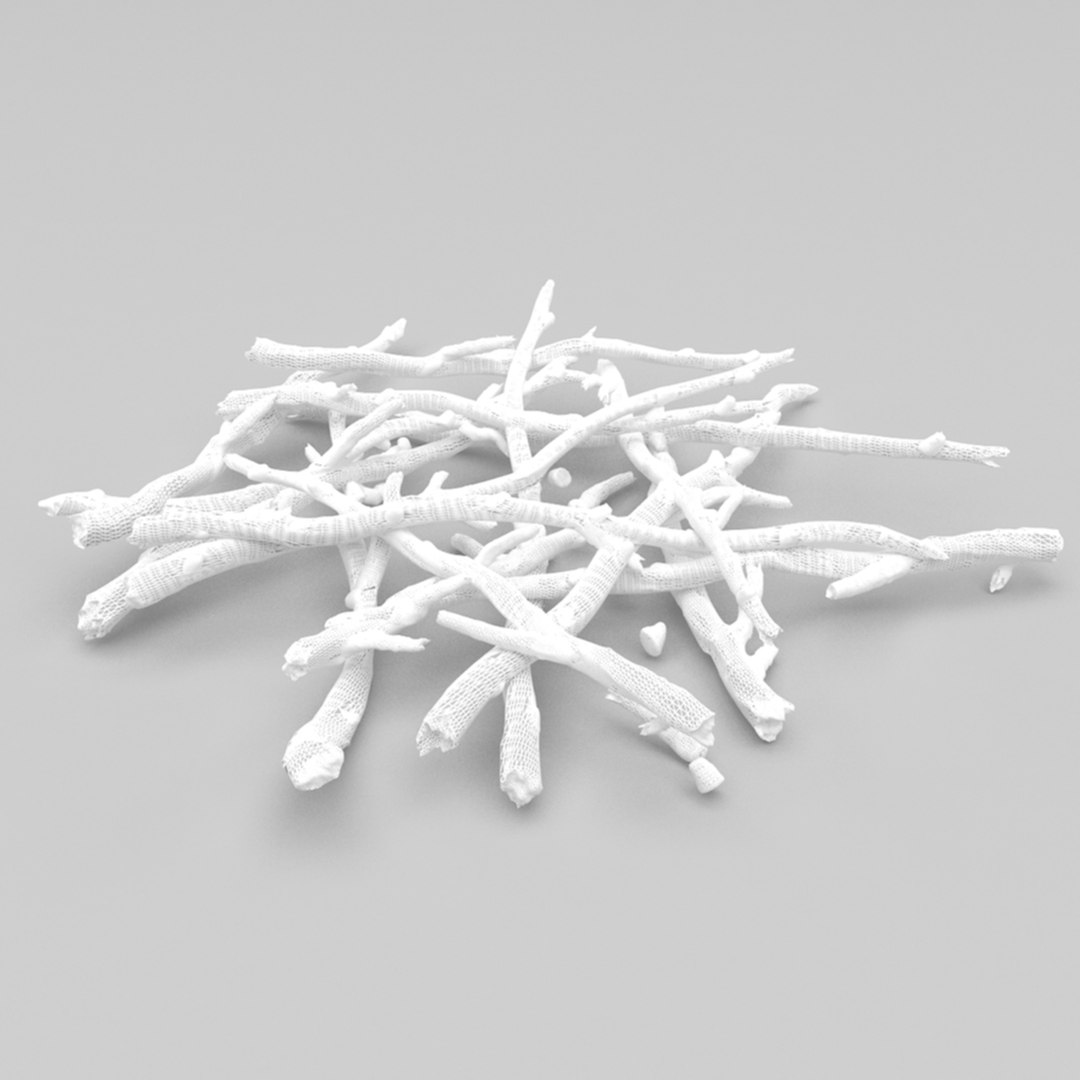 twigs 2 3d model https://p.turbosquid.com/ts-thumb/Be/Dh4bvL/O7wnJ10K/5/jpg/1411082488/1920x1080/fit_q87/8725083374a226adde1b71765903bcfaff9df7d7/5.jpg