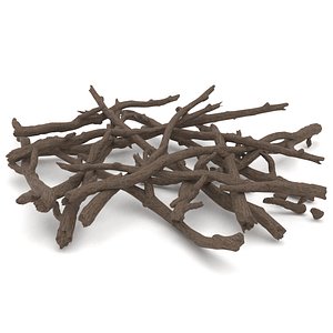 Twigs 2