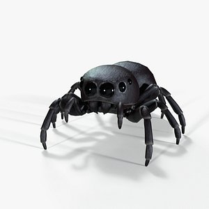 JumpSpider 3D model