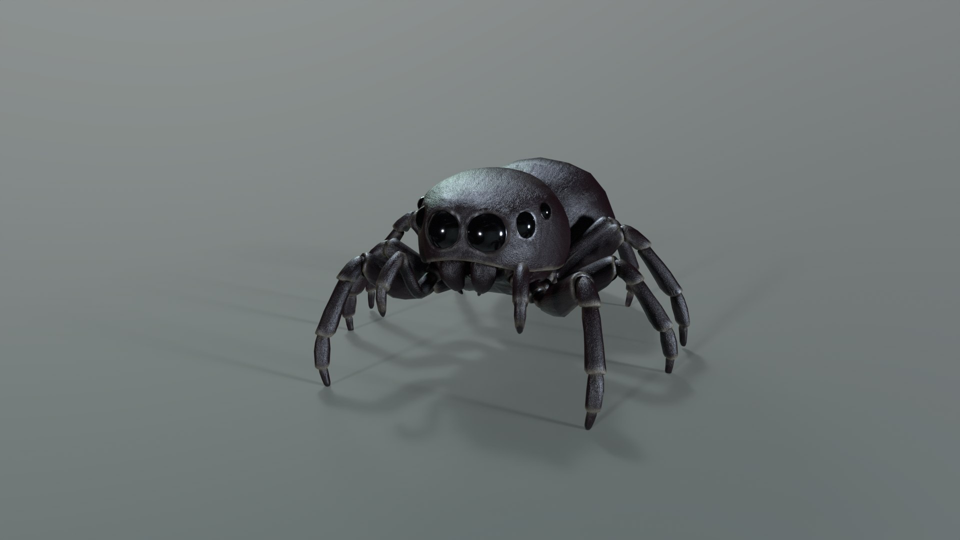 JumpSpider 3D model https://p.turbosquid.com/ts-thumb/Be/Egu5Wv/Op/untitled/png/1761799281/1920x1080/fit_q87/068b54f376fb2dfdd4db000fa014f550dc97a232/untitled.jpg