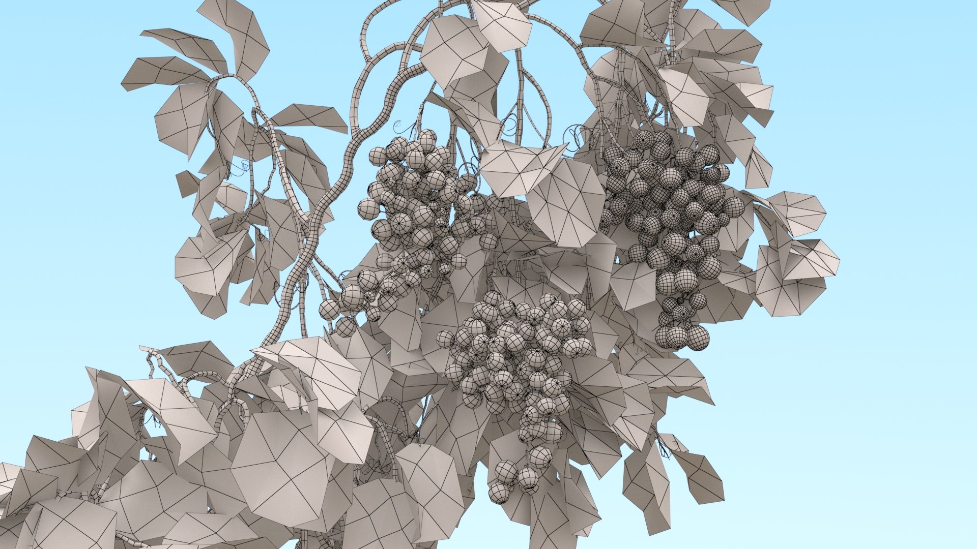 Grape Vine 3D - TurboSquid 2248256