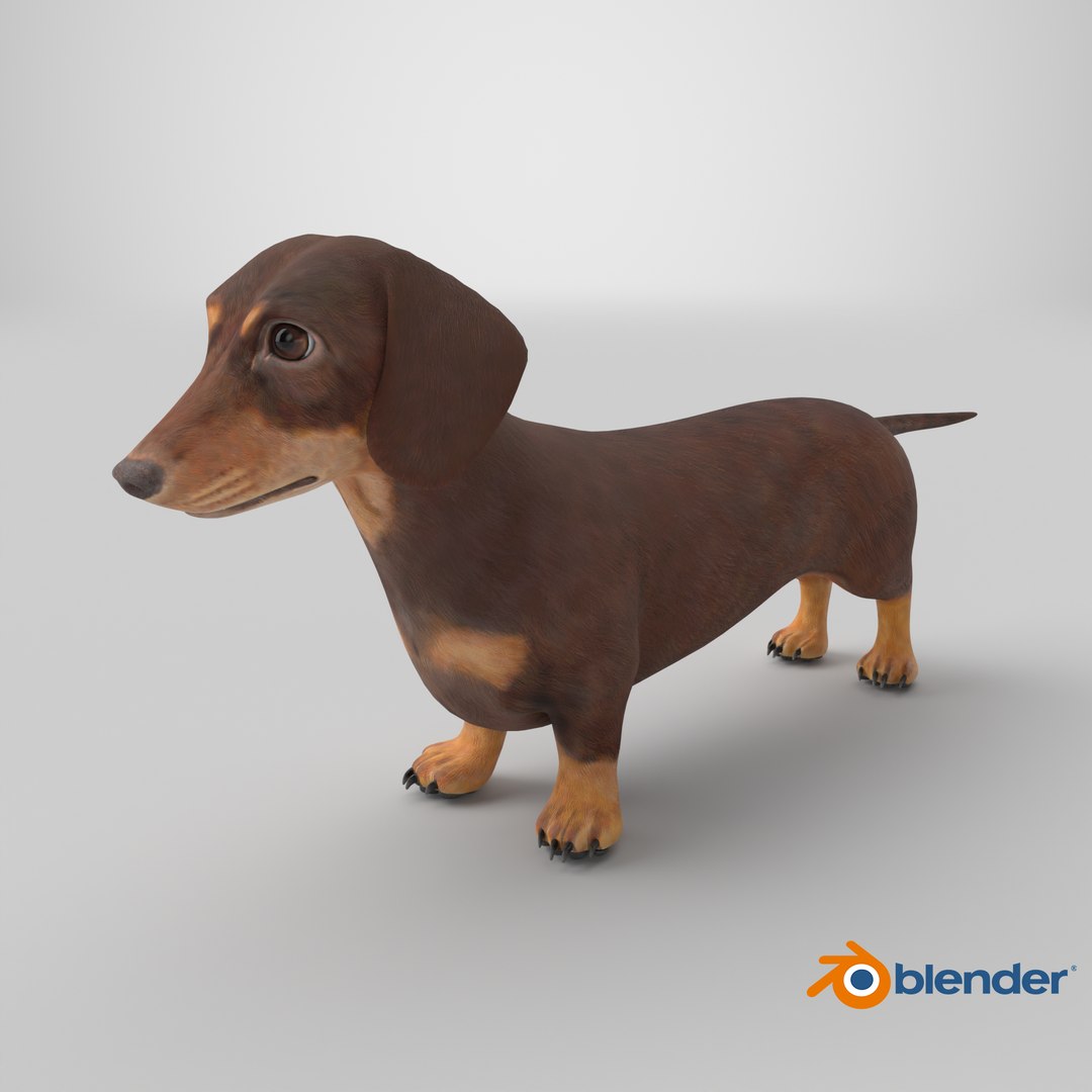Dachshund Low Poly - Game Ready 3D model https://p.turbosquid.com/ts-thumb/Be/Ot5GL7/3P/stemcell_blender_cycles_render/png/1769468539/1920x1080/fit_q87/de5e0531c125c6d57b0f6168b4bde12f232026b1/stemcell_blender_cycles_render.jpg
