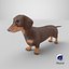 Dachshund Low Poly - Game Ready