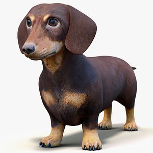 Dachshund Low Poly - Game Ready 3D model
