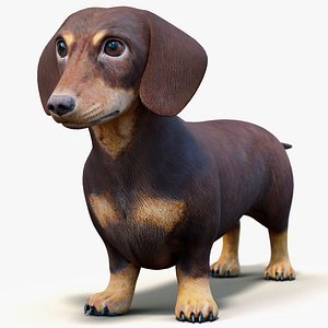 Dachshund Low Poly - Game Ready