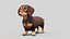 Dachshund Low Poly - Game Ready