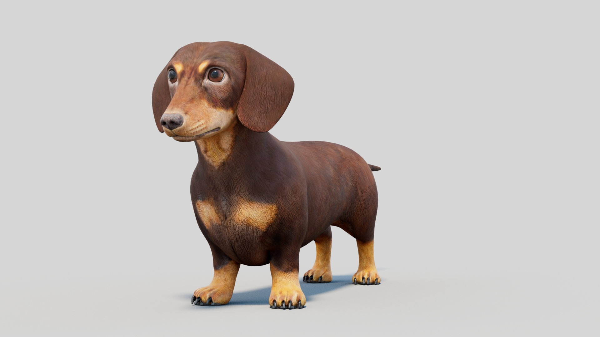 Dachshund Low Poly - Game Ready 3D model https://p.turbosquid.com/ts-thumb/Be/Ot5GL7/NL/dachshund3dmodellowpoly360view/jpg/1768501622/1920x1080/turn_fit_q99/4241b67811c324a713f6ba9b40a3f9f7123b9efc/dachshund3dmodellowpoly360view-1.jpg