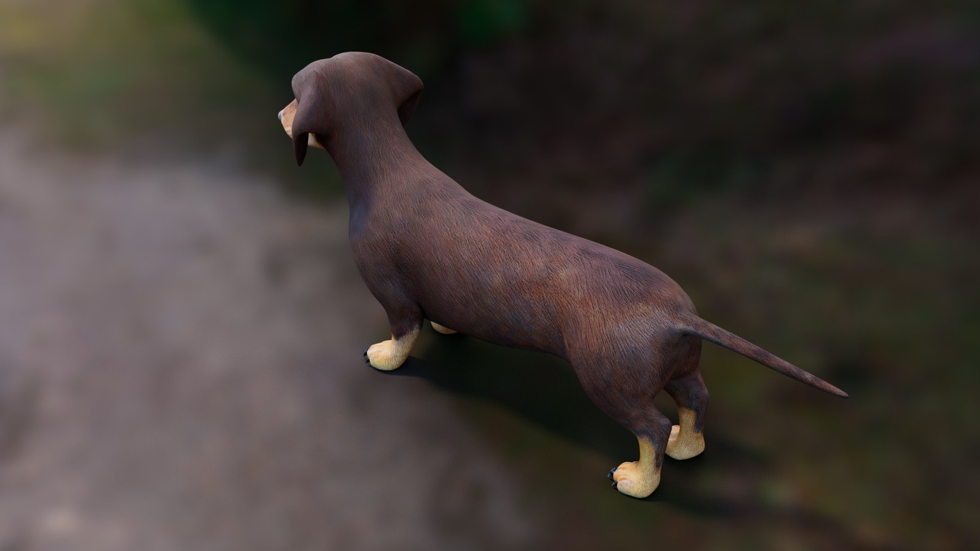 Dachshund Low Poly - Game Ready 3D model https://p.turbosquid.com/ts-thumb/Be/Ot5GL7/QK/browndachshunddog3dmodel06/jpg/1768493041/1920x1080/fit_q87/f5fca8e95f59d44e768770030b7ba89cdf2c711f/browndachshunddog3dmodel06.jpg